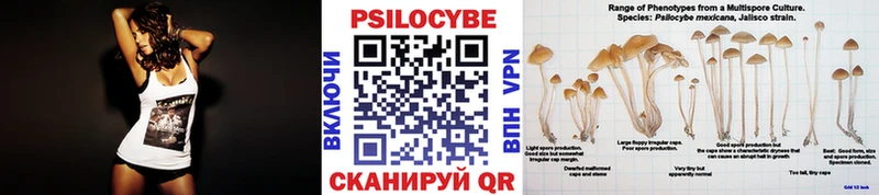 Псилоцибиновые грибы Psilocybe  дарнет шоп  Коммунар 