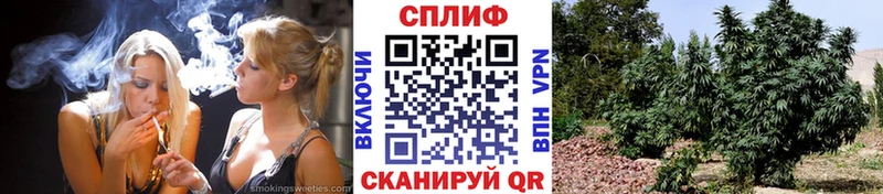 МАРИХУАНА сатива  Коммунар 